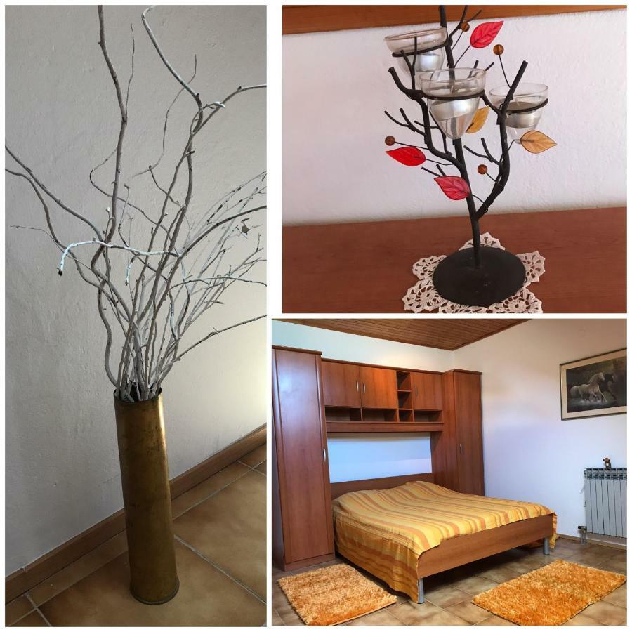 Lidija Apartman Zára Kültér fotó